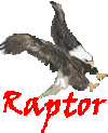 The Raptor
