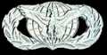 Defense Officer Badge